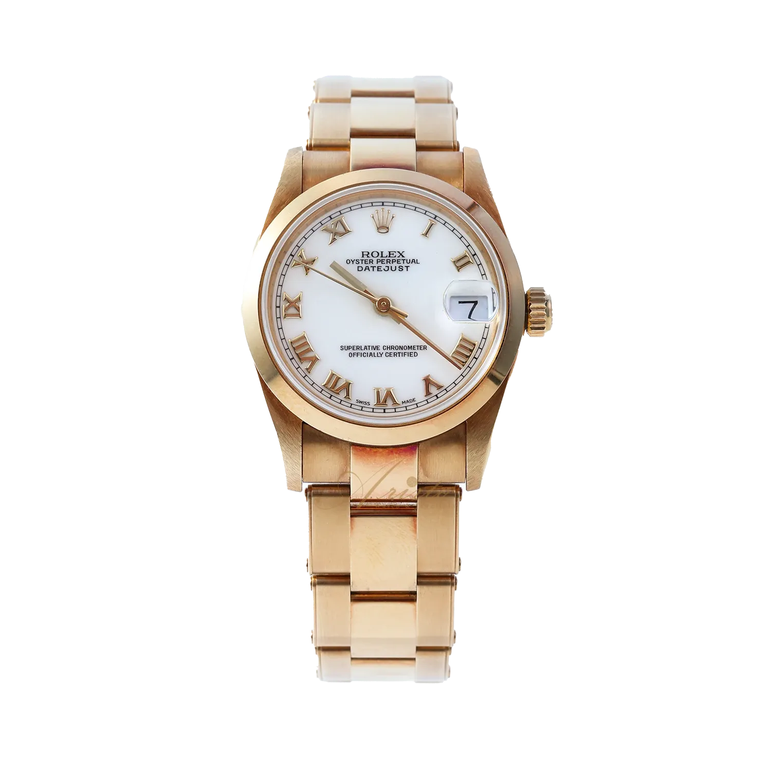 68248 White Roman Oys
